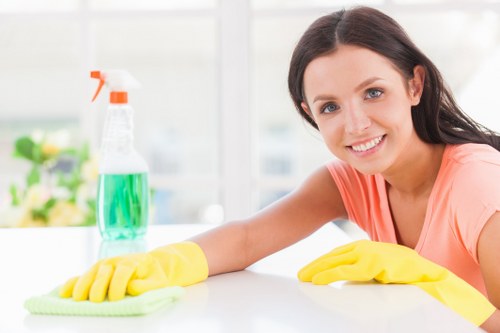 Professional mattress cleaning service for a home in Finsburypark