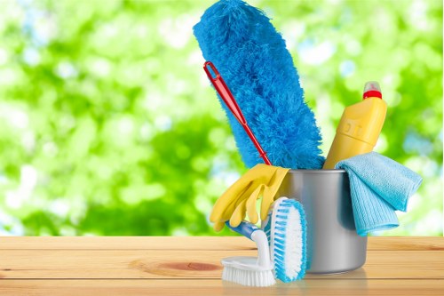 Professional sofa cleaning service in a Finsbury Park home