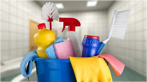 Professional move in cleaning for a Finsbury Park flat