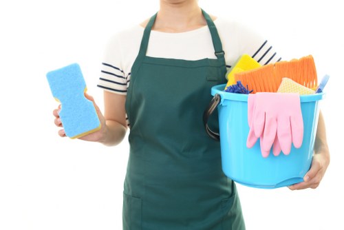 Illustration representing cookie settings for a cleaning service website