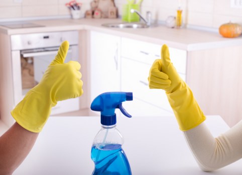 Professional carpet cleaning service for homes in Finsburypark
