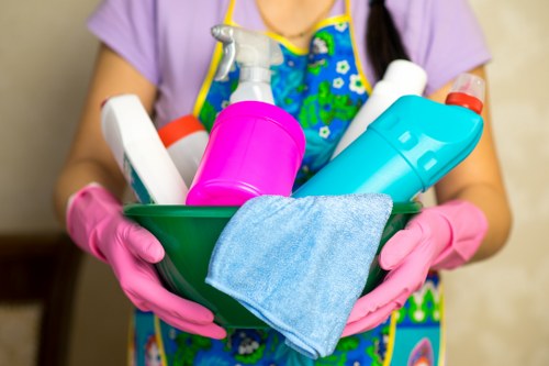 Professional cleaners in Finsbury Park working in a clean home interior