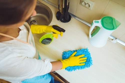 Checklist and cleaning supplies for a tenancy handover clean in Finsburypark