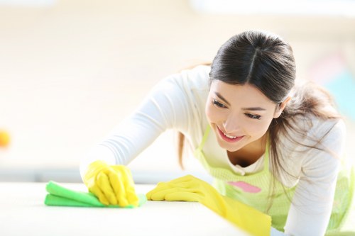 Local cleaners working in a shared house near Finsbury Park