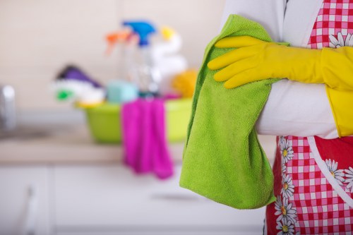 Local domestic cleaner working in Finsbury Park