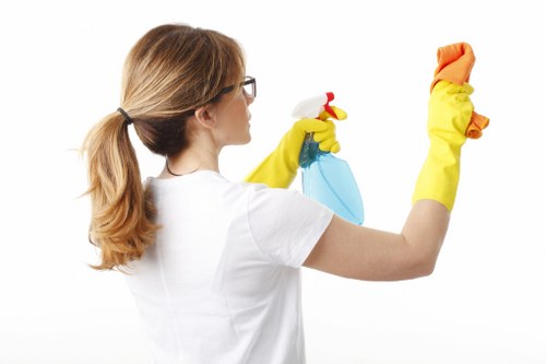 Upholstery stain treatment for a sofa in a local flat