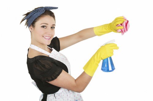 End of tenancy cleaning in a North London living room near Finsbury Park