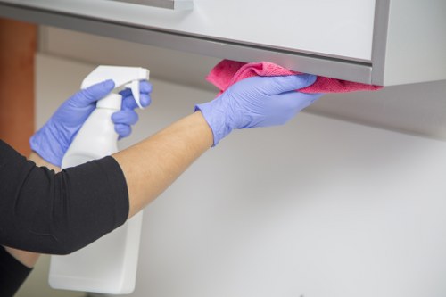 Regular home cleaning for a busy household in Finsbury Park